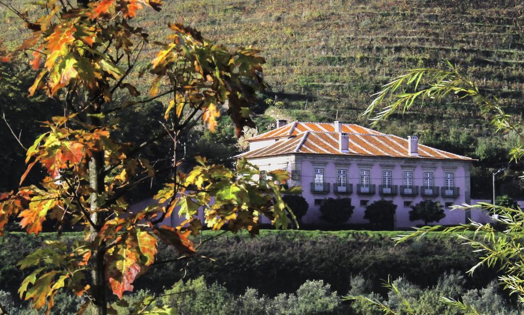 Casa Dos Varais, Manor House Lamego Bagian luar foto